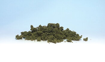 Underbrush CF olive green