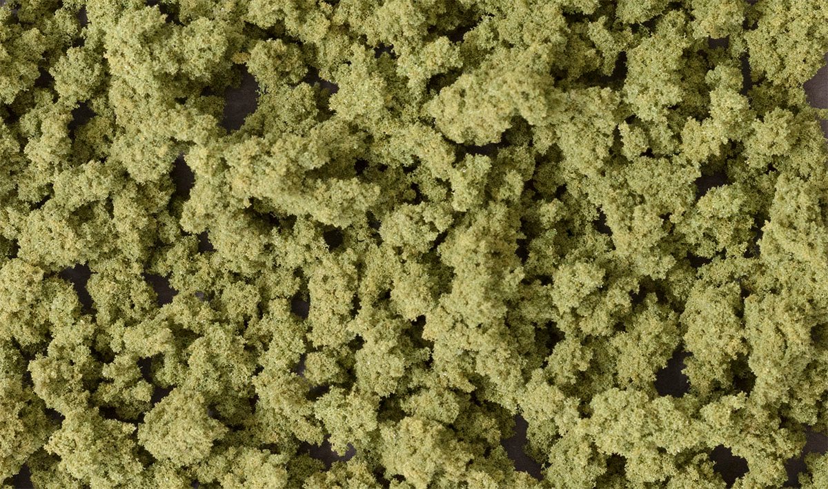 Bushes Clump-Foliage Olive gre