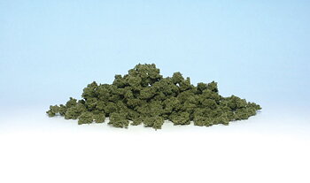 Bushes Clump-Foliage Olive gre