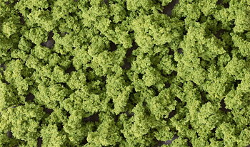 Bushes Clump-Foliage Light Gre