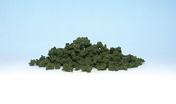 Bushes Clump-Foliage Medium Gr