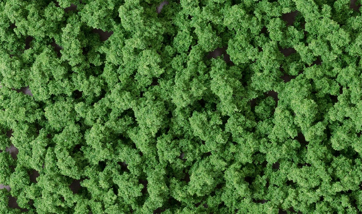 Bushes Clump-Foliage Medium Gr
