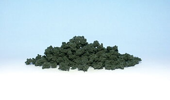 Bushes Clump-Foliage Dark Gree