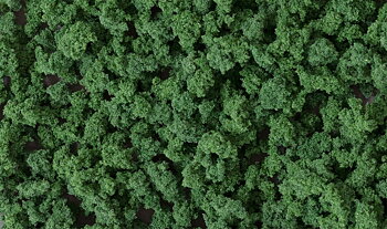 Bushes Clump-Foliage Dark Gree