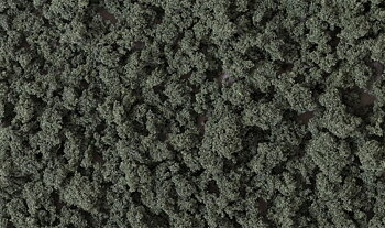 Bushes Clump-Foliage Forest Gr