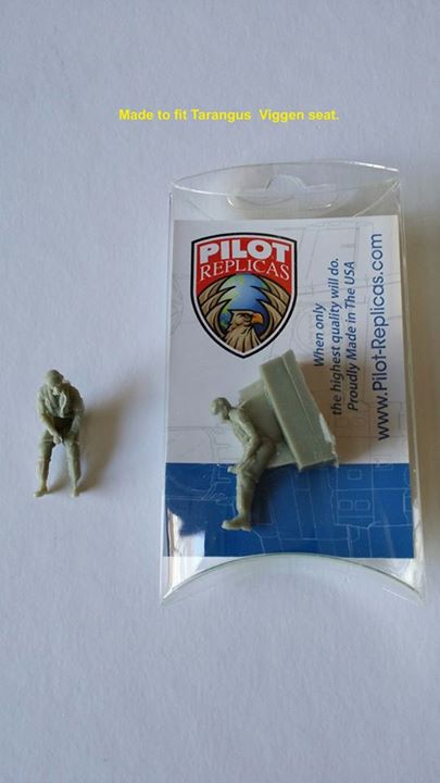 Pilot for Tarangus Viggen 1/48