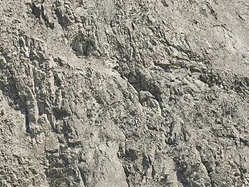 Wrinkle Rocks 'Wildspitze' 45x25.5cm