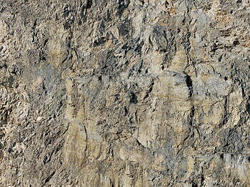 Wrinkle Rocks 'Grossvenediger' 45x25.5cm
