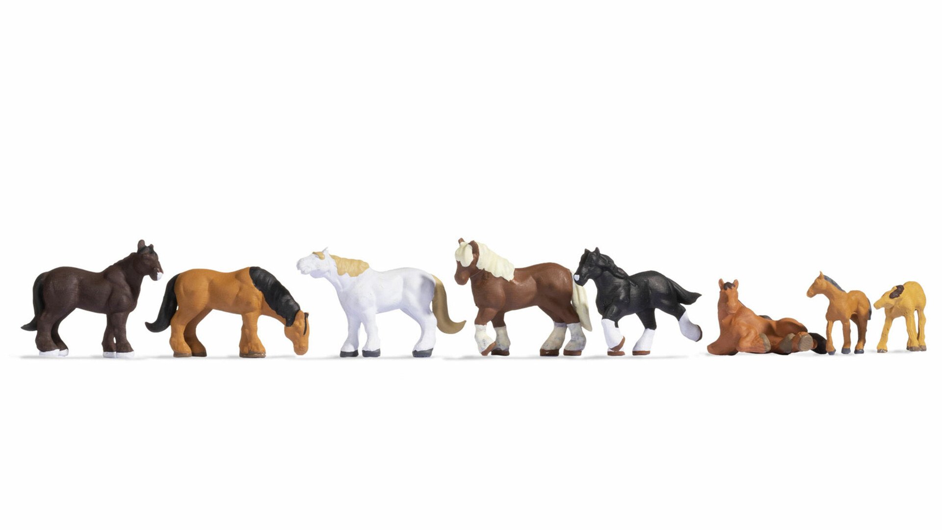 Draught Horses