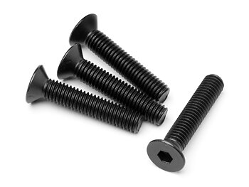 Insexskruv M5x25mm (4st)