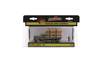 Tim Burr Logging H0