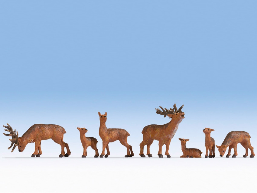 Deers