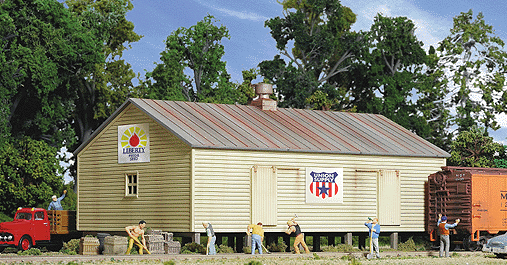 Storage Shed on Pilings