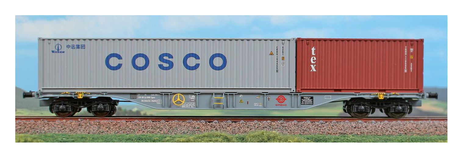 Cont.vagn Sgnss Ermewa 'Cosco/