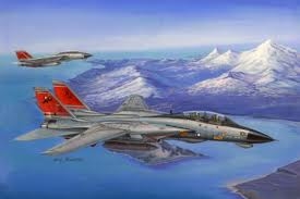 F-14D Super Tomcat 1/48
