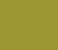 Gold 17ML Alkohol Based(Modelc