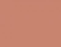 Rose Brown 17ML(Modelcolor)