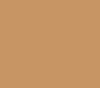 Red Beige 17ML(Modelcolor)