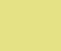 Lazur RLM 05 Yellow 17ML(Model