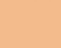 Basic Skin Tone 17ML(Modelcolo