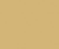 Dark Sand 17ML(Modelcolor)