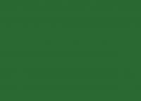 Medium Olive 17ML(Modelcolor)