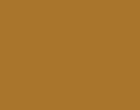 Ochre Brown 17ML(Modelcolor)