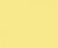 Ice Yellow 17ML(Modelcolor)