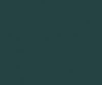 Dark Sea Green 17ML(Modelcolor