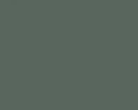 Basalt Grey 17ML(Modelcolor)
