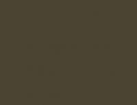 Leather Brown 17ML(Modelcolor)