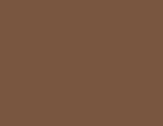 Beige Brown 17ML(Modelcolor)