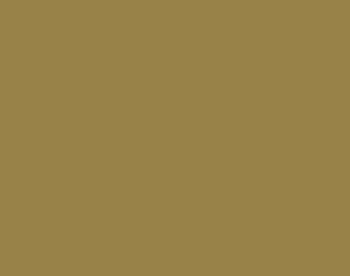 Old Gold 17ML(Modelcolor)