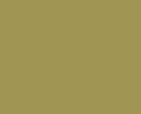 Middlestone 17ML(Modelcolor)