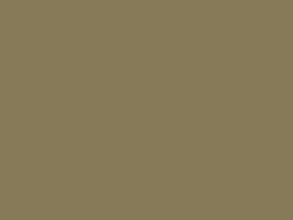 Green Grey 17ML(Modelcolor)