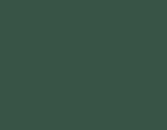 Olive Grey 17ML(Modelcolor)