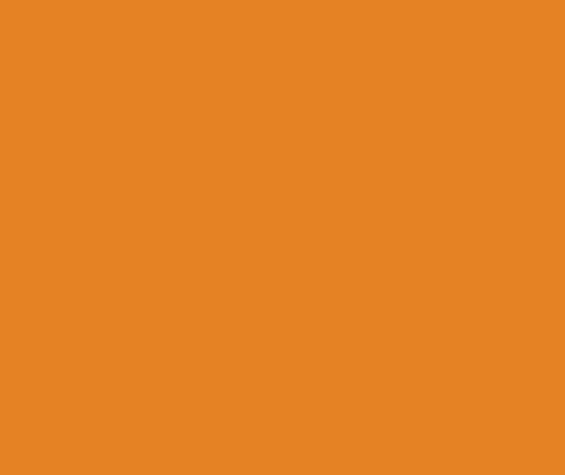 Light Orange 17ML(Modelcolor)