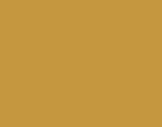 Yellow Ochre 17ML(Modelcolor)