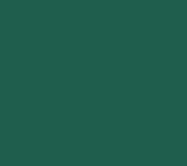 German Uniform 17ML(Modelcolor