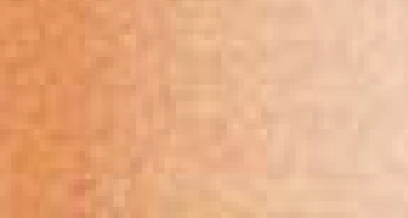 Transparent Orange 17ML(Modelc