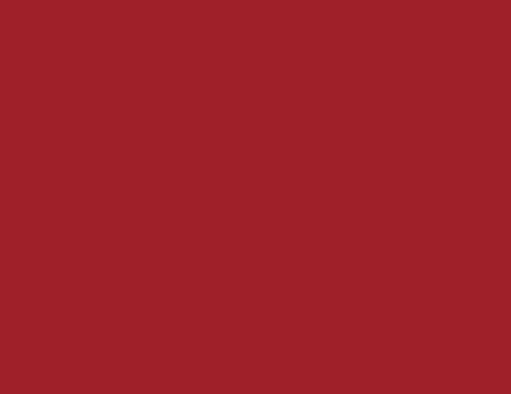 Flat Red 17ML(Modelcolor)
