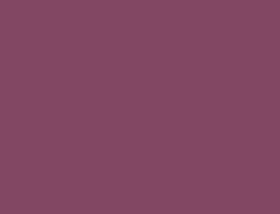 Purple 17ML(Modelcolor)