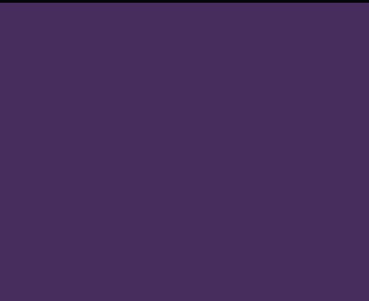 Violet 17ML(Modelcolor)