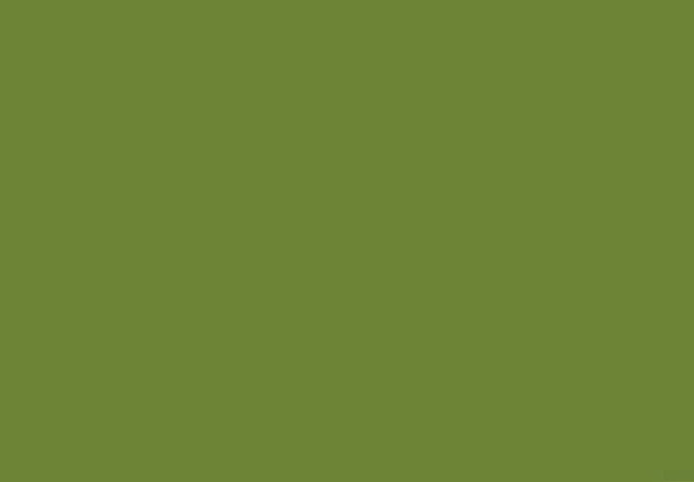 Olive Green 17ML(Modelcolor)