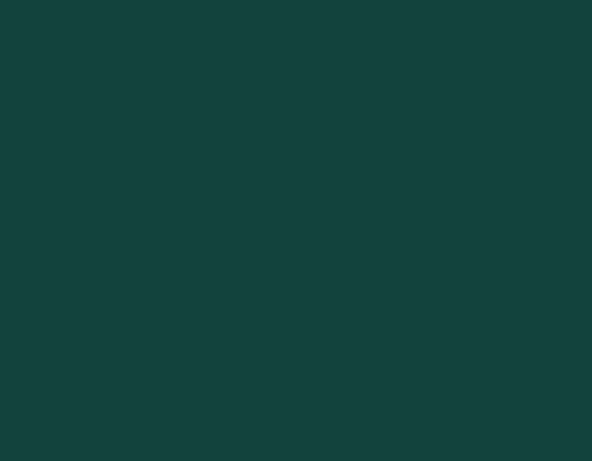 Black Green17ML(Modelcolor)