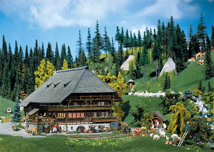 Schwarzwald-Hof