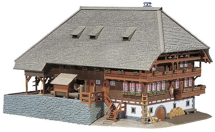 Schwarzwald-Hof - 2