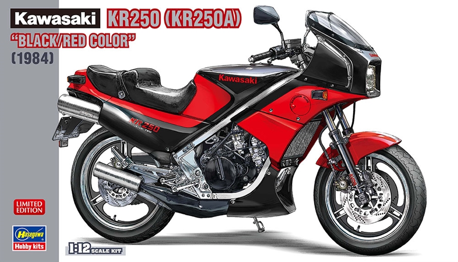 Kawasaki KR250/KR250A 1/12
