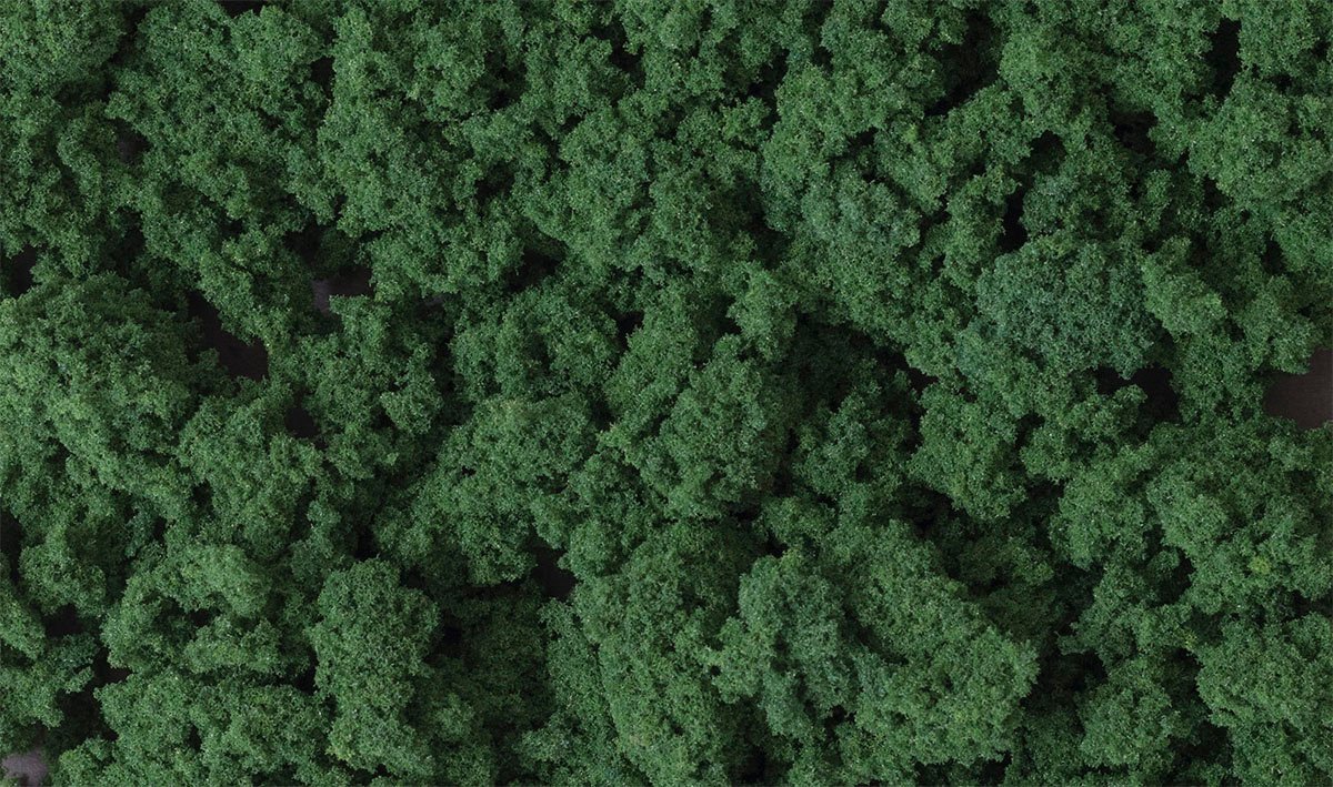 Foliage Clump Dark Green