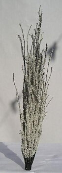 Poppel 190-220mm, vinter, x3
